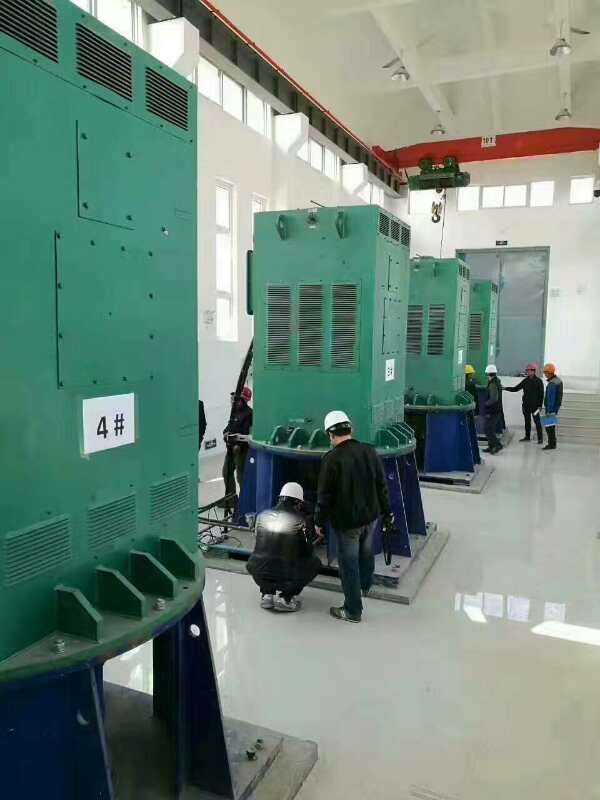 YKS5602-12某污水处理厂使用我厂的立式高压电机安装现场