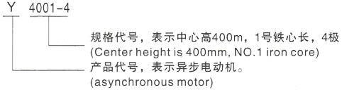 西安泰富西玛Y系列(H355-1000)高压YKS5602-12三相异步电机型号说明