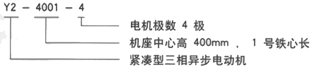 YR系列(H355-1000)高压YKS5602-12三相异步电机西安西玛电机型号说明